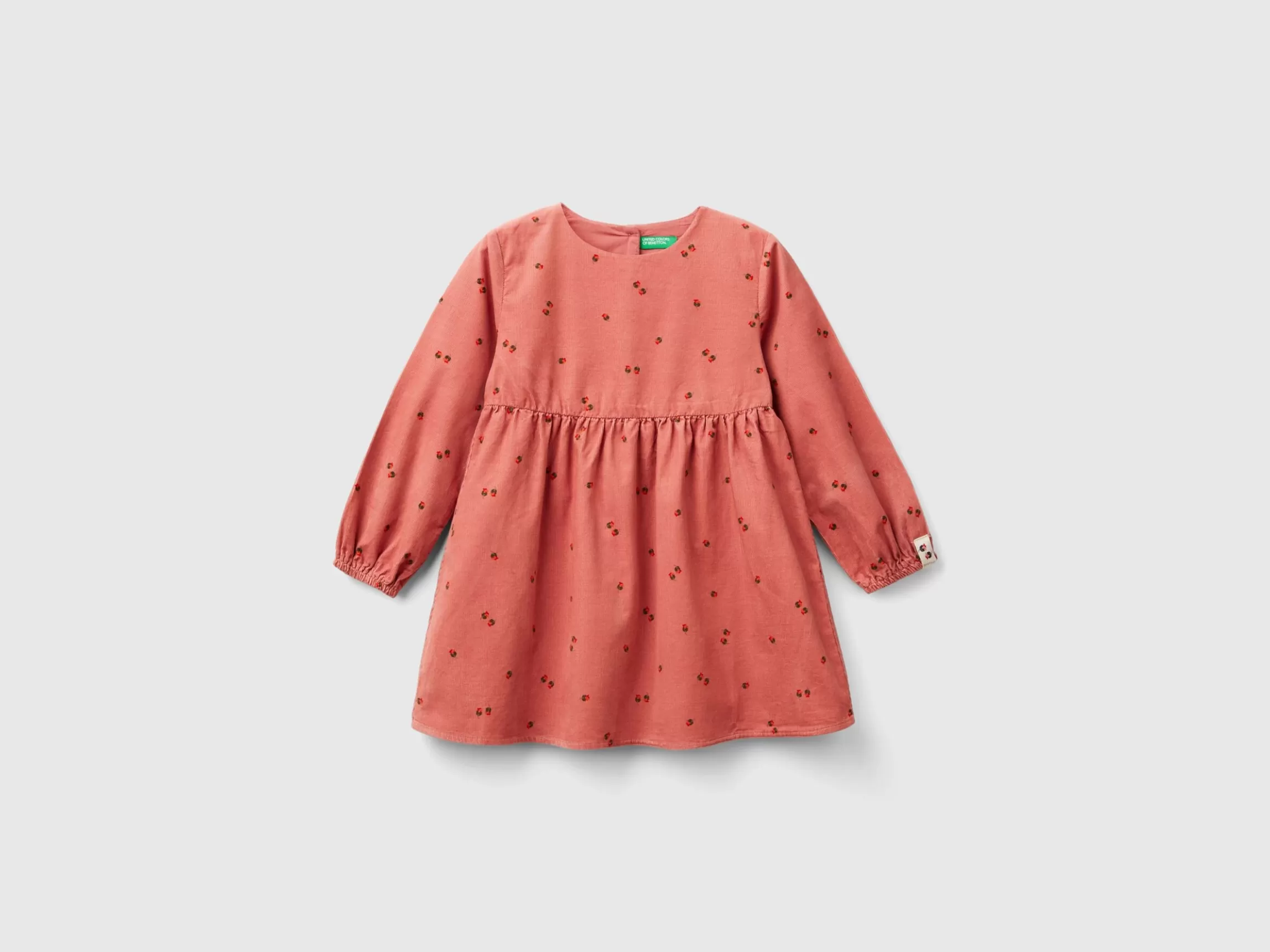 United Colors of Benetton Velvet dress with rose print